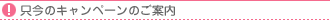 �L�����y�[�����i